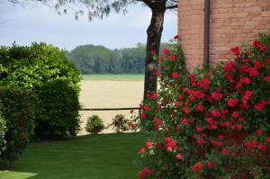 Vonkajšia záhrada v ubytovaní Country House Le Case Coloniche