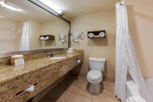 
A bathroom at Comfort Inn & Suites
