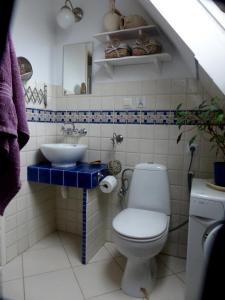 a bathroom with a toilet and a sink at Bajka in Gdańsk