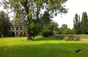 a dog laying in the grass under a tree at Le Petit Manoir de la Vernelle in Fourmetot