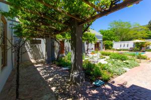 Gallery image of Olive Tree in Paarl