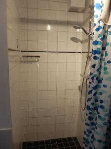 y baño con ducha y cortina de ducha. en Pelt 35, en Bergen