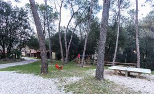 Vonkajšia záhrada v ubytovaní Camping Esponellà