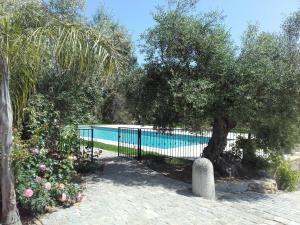 Bazén v ubytování La Bastide de l'Oliveraie nebo v jeho okolí