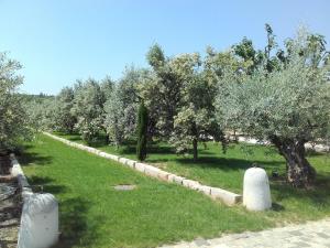 Zahrada ubytování La Bastide de l'Oliveraie