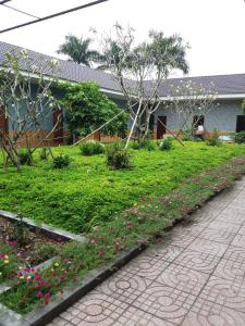 Thanh Thuy tesisinin dışında bir bahçe