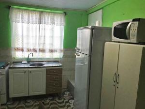 eine Küche mit grünen Wänden und einem Kühlschrank und einer Mikrowelle in der Unterkunft Residenciais Casa Verde Gramado in Gramado