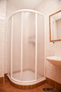 a shower with a glass door in a bathroom at Pension Schlögl in Lutzmannsburg