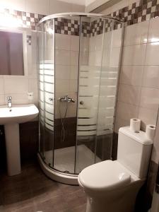 W łazience znajduje się prysznic, toaleta i umywalka. w obiekcie Evagelia's Houses w mieście Votsi