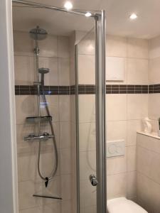 a shower with a glass door in a bathroom at Ein kleines Haus in Fehmarn +27 photos