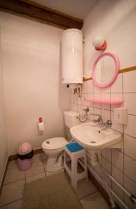 ビストシツァ・クウォツカにあるSudecka Chataのバスルーム(洗面台、トイレ、鏡付)
