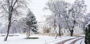 Art Hotel Kaštieľ talvel