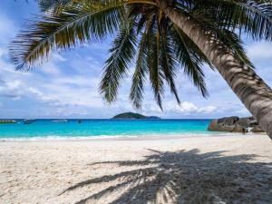 a palm tree casts a shadow on a beach at Best Rent a Room in Nai Yang Beach