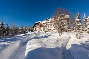 Villa Karolina v zime