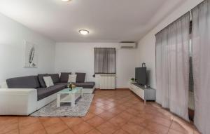 salon z kanapą i telewizorem w obiekcie Apartment Narcisa with Terrace w mieście Umag