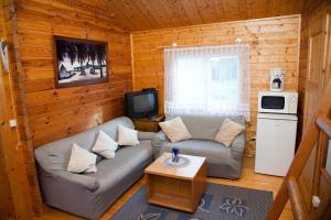 a living room with a couch and a tv at Lepametsa Holiday Houses in Nasva