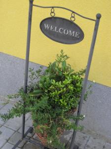 Foto sihtkohas Bocholt asuva majutusasutuse B&B Het Uilennest galeriist