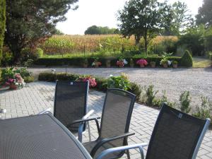 Aed väljaspool majutusasutust B&B Het Uilennest