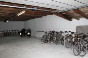 Attività di ciclismo presso l'hotel o nelle vicinanze