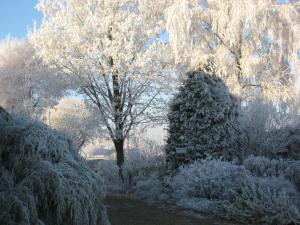 B&B Het Uilennest talvel