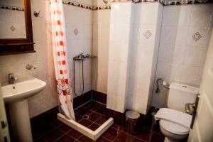 a bathroom with a shower and a toilet and a sink at La Casa di Caterina in Lefkada