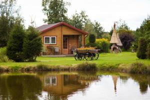 a cabin next to a lake with a horse drawn carriage at Lepametsa Holiday Houses in Nasva +40 photos