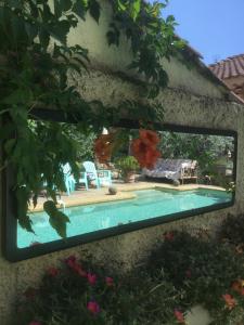 a view of a swimming pool through a window at Le petit Figuier in La Roque-dʼAnthéron