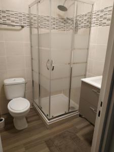 桑斯La plénitude Appt 124的带淋浴、卫生间和盥洗盆的浴室