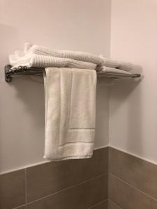 ein Handtuchhalter mit drei Handtüchern im Bad in der Unterkunft Stundenhotel Krieger in Büren