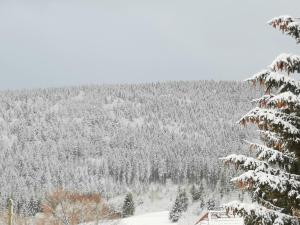 una colina cubierta de nieve con un bosque de árboles en Höhengasthof Rössle, en Schluchsee