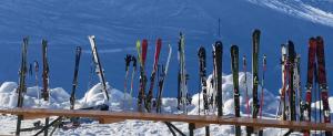 a bunch of skis are lined up in the snow at dasGams in Gosau