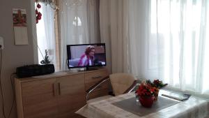 TV a/nebo společenská místnost v ubytování Ferienhaus II Heyder
