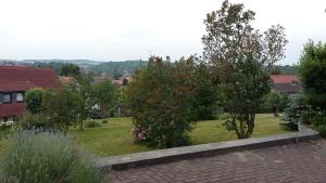 Zahrada ubytování Ferienhaus II Heyder