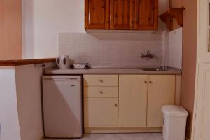 Kuchyň nebo kuchyňský kout v ubytování Family Studios + 37 fotografií