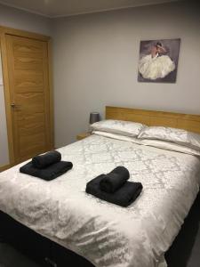 Легло или легла в стая в Treetops Bungalow Loch Ness