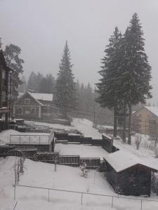 Apartament Alin v zimě