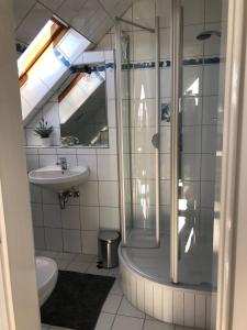 uma casa de banho com um chuveiro, um lavatório e um WC. em Gemütliche Ferienwohnung im Luftkurort em Albersdorf
