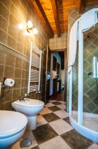 een badkamer met een toilet, een wastafel en een douche bij Dos Puentes in Vega de Espinareda