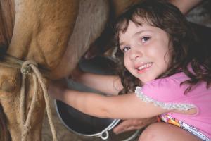 a little girl sitting next to a cow at Lagoa Seca Hotel Rural in São Lourenço