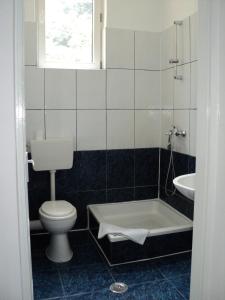 a bathroom with a toilet and a tub and a sink at Pensiunea Irina in Tilişca