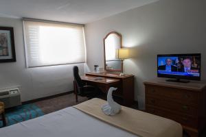 a hotel room with a bed and a desk and a television at Caribe Hotel Ponce in Ponce