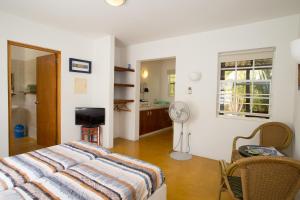 1 dormitorio con 1 cama, ventana y ventilador en The Dive Hut - Boutique Apartments, en Kralendijk