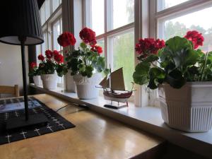 Fotografie z fotogalerie ubytování Håverud Hostel v destinaci Håverud