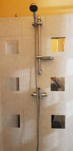 a shower with a shower head in a bathroom at Le Ty Rose in Dinan
