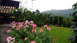 Pemandangan gunung umum atau pemandangan gunung yang diambil dari penginapan & sarapan