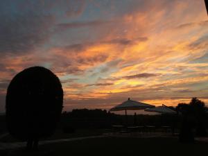 Billede fra billedgalleriet på B&B Cascina Bellavista i Tigliole + 50 billeder