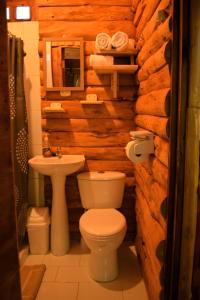 a bathroom with a toilet and a sink at Cabañas El Coyote in San Pablo +80 photos