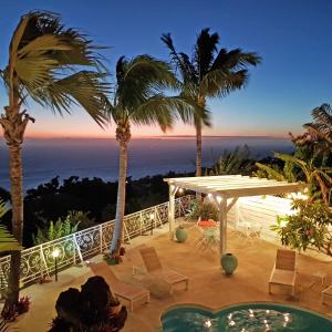 a patio with palm trees and a view of the ocean at LA BOHEME, résidence de 5 appartements avec piscine, vue océan, Petite Ile in Petite Île