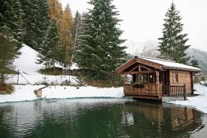 a cabin in the middle of a lake in the snow at Almliesl HOLL-559 in Hollersbach im Pinzgau