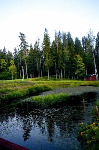staw na polu z czerwoną stodołą i drzewami w obiekcie Atpūtas centrs Paideri w mieście Alūksne
